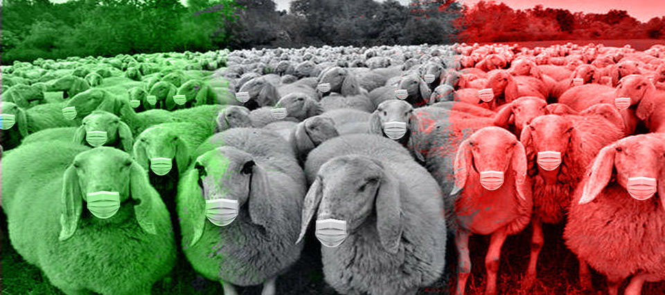Il vaccino per i covidioti